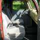 Illustration for article titled For $7,000, Canada Says Truck Off, Hoser